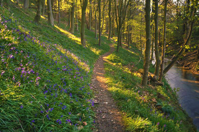 Signpost number 1 dating from 1905. Footpath and bridle road to Edale