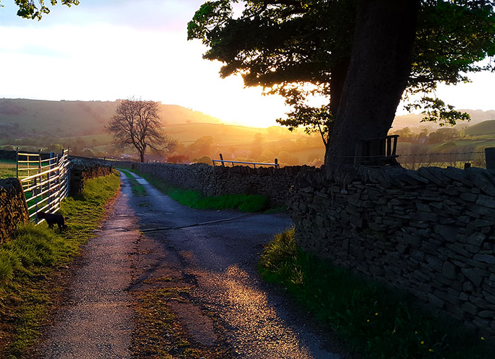 At least a dozen volunteers and trustees at a meeting in Taylor House